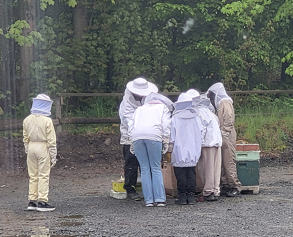 Gruppe in Imkeranzügen untersucht Bienenkästen im Freien; ein Kind steht etwas abseits und schaut zu.